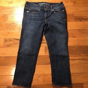 American Eagle artist crop size 8